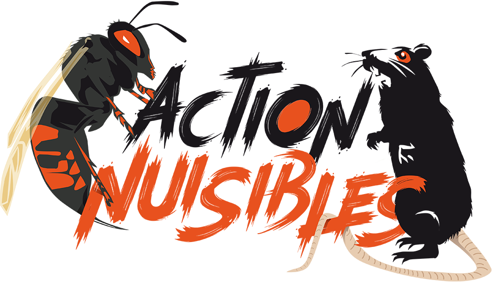Logo-site-AN