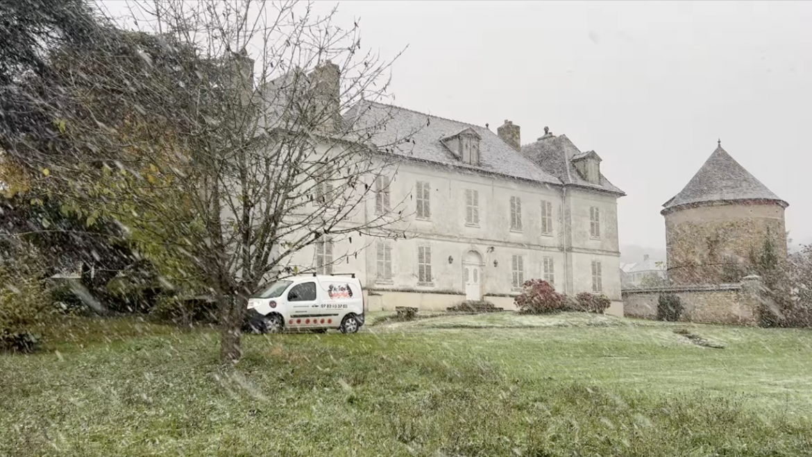 Comment Éliminer Efficacement les Nids de Frelons Asiatiques en Hiver dans les Yvelines