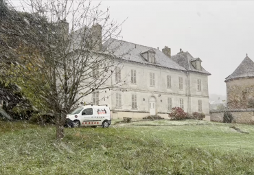 Comment Éliminer Efficacement les Nids de Frelons Asiatiques en Hiver dans les Yvelines