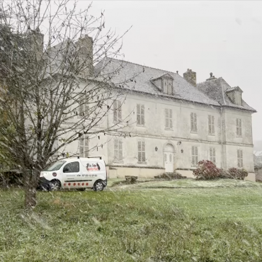 Comment Éliminer Efficacement les Nids de Frelons Asiatiques en Hiver dans les Yvelines