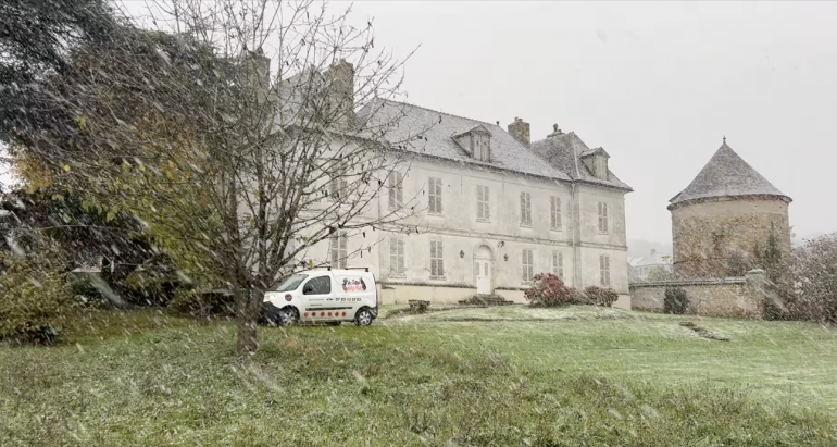 Comment Éliminer Efficacement les Nids de Frelons Asiatiques en Hiver dans les Yvelines